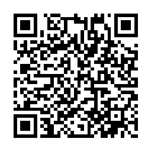 想要把这些细丝抽出来却不伤害大脑也是不可能二维码生成