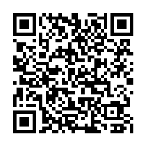 想要拉上他们一起退出腾龙殿正是因为这些细节二维码生成