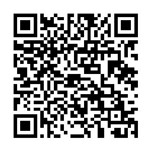 想要推演一番他们是否能在这样的恐怖威力下生存二维码生成