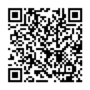 想要教训一个核心弟子的话根本就不会费什么力量二维码生成