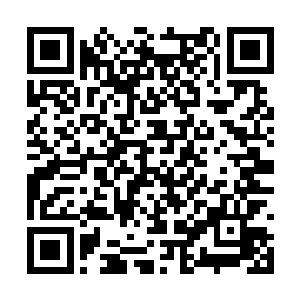 想要有这样的效果你就必须在前期消弱他们的实力二维码生成