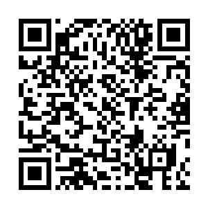 想要民众的观注――她让文化公司这个时候做自己的传记二维码生成