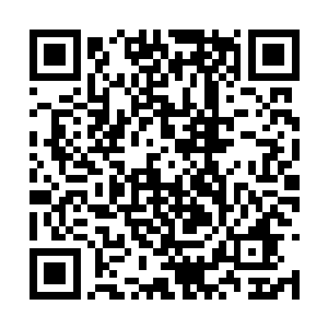 想要活下去的唯一机会就是那个名叫穆根的人类了二维码生成
