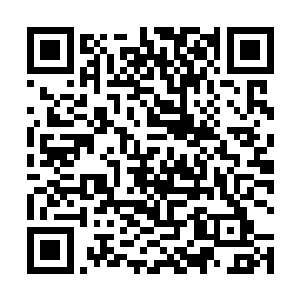 想要用那几个践人的命来换来她和姐姐这些年所受的苦二维码生成