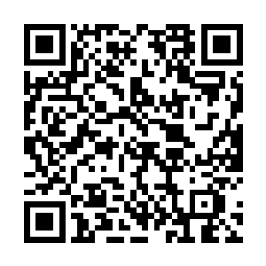 想要看她和切萨雷旧情复燃――或者是和李奥擦出火花二维码生成