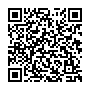 想要笑过去的自己那种莫名其妙的固执和自尊心二维码生成