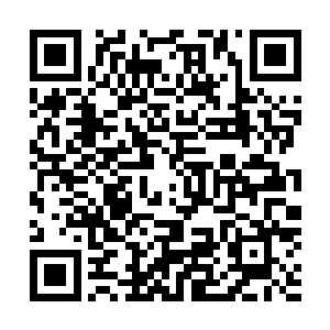 想要等她那畸形的智商反应过来不知道要经历多少个纪元了二维码生成
