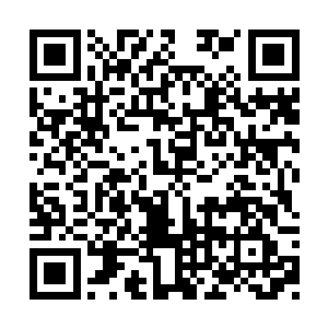 想要翻身欺上的区长镜被觉非罗重新掀翻到下方二维码生成