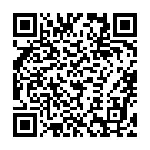 想要被发现都是极其的困难这其中会不会有什么阴谋啊二维码生成