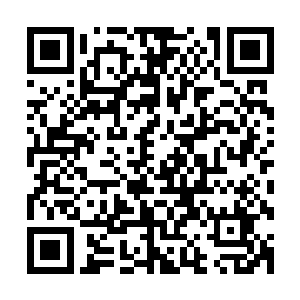 想要让他们获得真正的锻炼根本不是半个月的军训就能做到的二维码生成