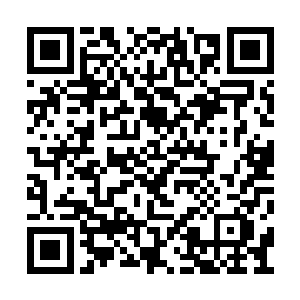 想要让奶奶误以为我已经睡着了并不是什么难事二维码生成