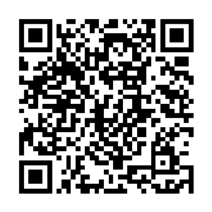 想要走传送距离最远的传送门就必须去东门那里的大传送阵二维码生成