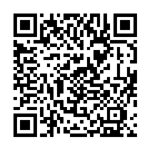 想要趁着雨上人与蓝天尊者大战之际来对付他们武魂一脉二维码生成