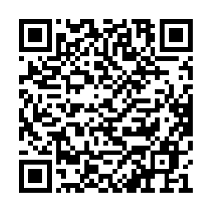 想要躲进自己那虽然质朴却温馨怡人的水乡家园二维码生成