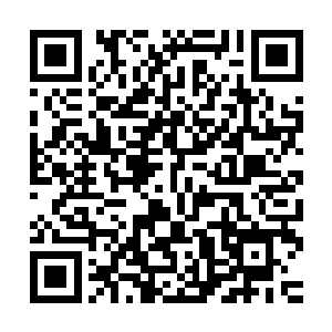 想要重新夺回神月仙宫……渍渍……这小子莫非还要去助拳不成二维码生成