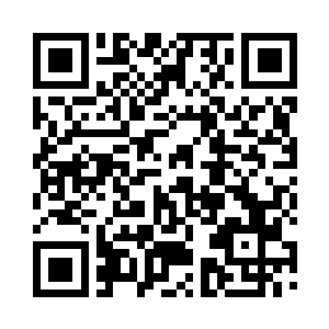 想要针对一个没有多少比赛经验的新人二维码生成