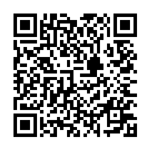 想要闯过去的难度和风险也绝对比闯灭世天火要大得多二维码生成