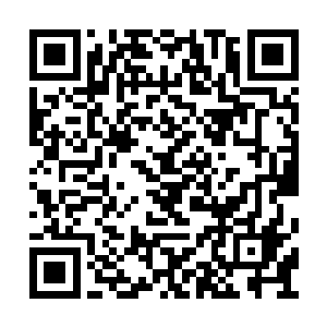 想让全国那么多高校学生统一时间游行怎么可能二维码生成