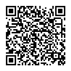 想让这些鲸鱼明白在日本不光有捕食它们的坏人也有想保护它们的好人二维码生成