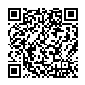 想试试太乙神针能否医治凌笑的这种昏睡不醒的状况二维码生成