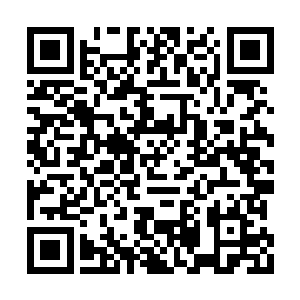 想象一下以后自己在这里囤下十几或几十套房产二维码生成