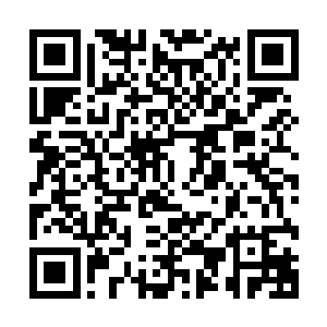 想象一下取得成功之后能够在好莱坞见到更多自己喜欢的导演二维码生成