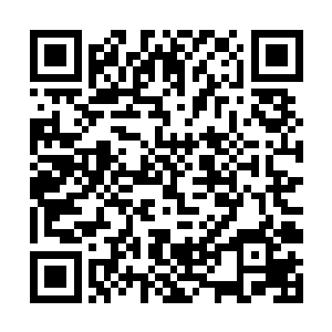 想象到之前的时候珈蓝宇宙之中派出的那恐怖的阵容二维码生成