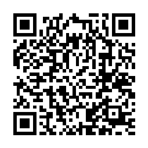 想起不久前还需要担心是不是要像在大街上流浪的人一样二维码生成