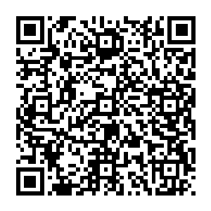 想起了冷凝霜带她去的那个地方当初就是在那悬崖之下见到苍九霄和土依水发生了争执二维码生成