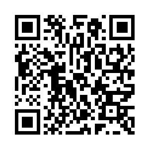 想起了半月前在妹妹遗境中所见的百年暗火二维码生成
