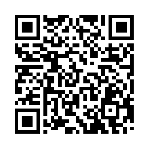 想起了就和海勒一起去看看那两颗梧桐树二维码生成