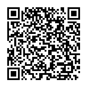 想起了曾经在布拉佩的那些年少轻狂的时光和那些飞扬的啤酒泡沫二维码生成