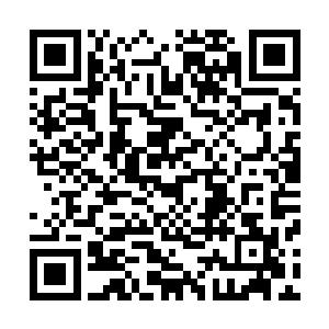 想起了相关君应怜的一切在青云天域与君应怜相处的每一幕二维码生成