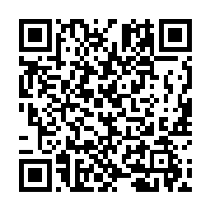 想起以前薛表叔进京城时司马十七郎用心地帮他跑关系二维码生成