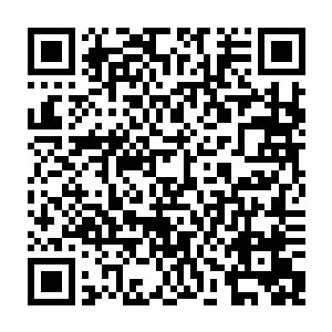 想起在瑞典时柯莱公司那个四十多岁满身赘肉的女老板屡次的深夜谈心邀请二维码生成