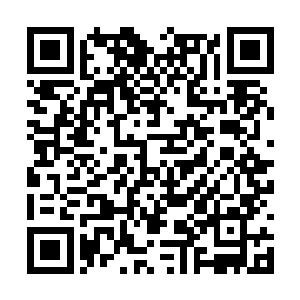 想起当初是法相宗的一个弟子惹了万星宗的女弟子二维码生成