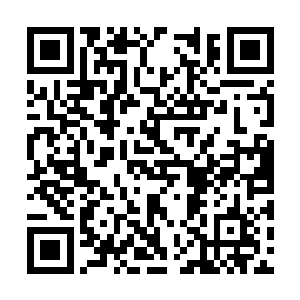 想起此时他们正焦头烂额的猜测着自己到来地目的二维码生成