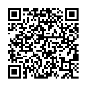 想起自己女儿说的无论如何都得将丁长生拉进来的话二维码生成