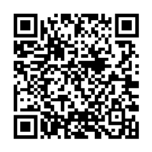 想起自己最喜欢的私生子刘焕正是死在这臭小子手中二维码生成