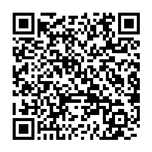 想起自己毫不设防地与杨开一起共处了这么久却没有发现他的真面目二维码生成
