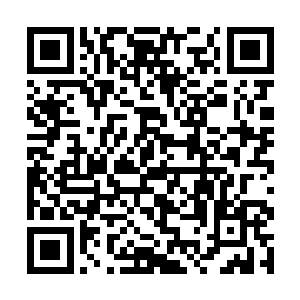 想起自己给沈丽缇找了这么一位牛逼的贴身保镖同志二维码生成