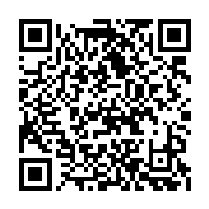 想起那些虽未多说但眼神交会过的短暂瞬间……二维码生成