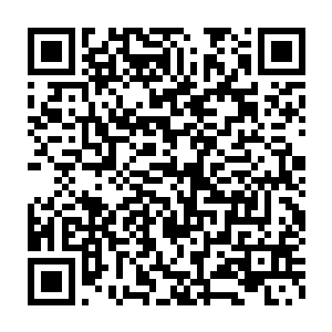 想问问大夫您说的那个让寻蛇肚皮里面的脏东西吐出来是怎么弄的二维码生成
