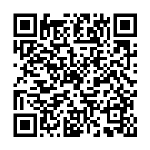 意味着三万年中通常只会出现一个七涅真神强者二维码生成