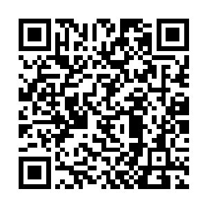 意味着任务切入点两个时辰后的死亡剧情在点点推进二维码生成