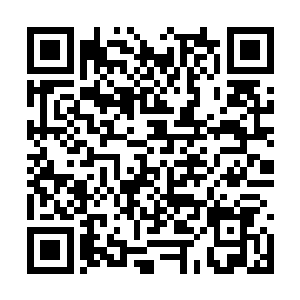 意味着所有的格挡技在这对弯刀面前都失去了意义二维码生成