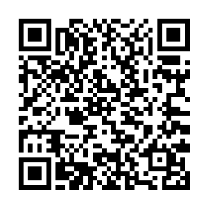 意思就说万一什么时候凤瑾元也对她们下杀手怎么办二维码生成