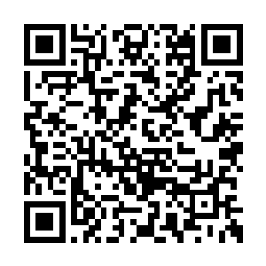 意思是让他少说两句虽然小时候杨洛确实打过他二维码生成