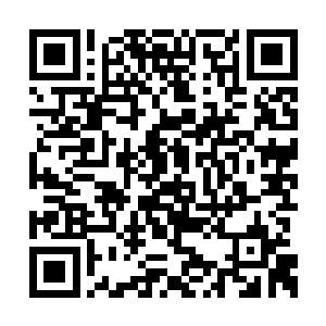 意料之中的消息接二连三传来――其余两大家族二维码生成