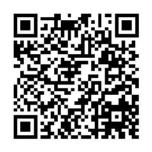 意识到了宝镜的危险性……许大小姐都斗不赢的人二维码生成